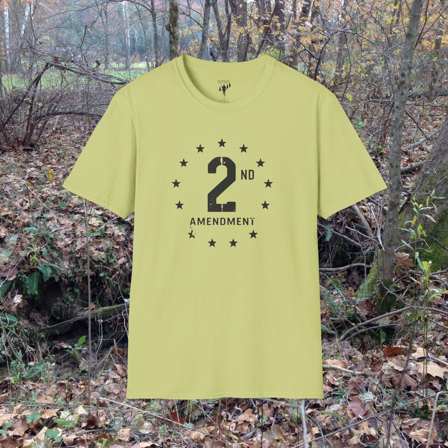 2nd Amendment Vintage Style Graphic T-Shirt