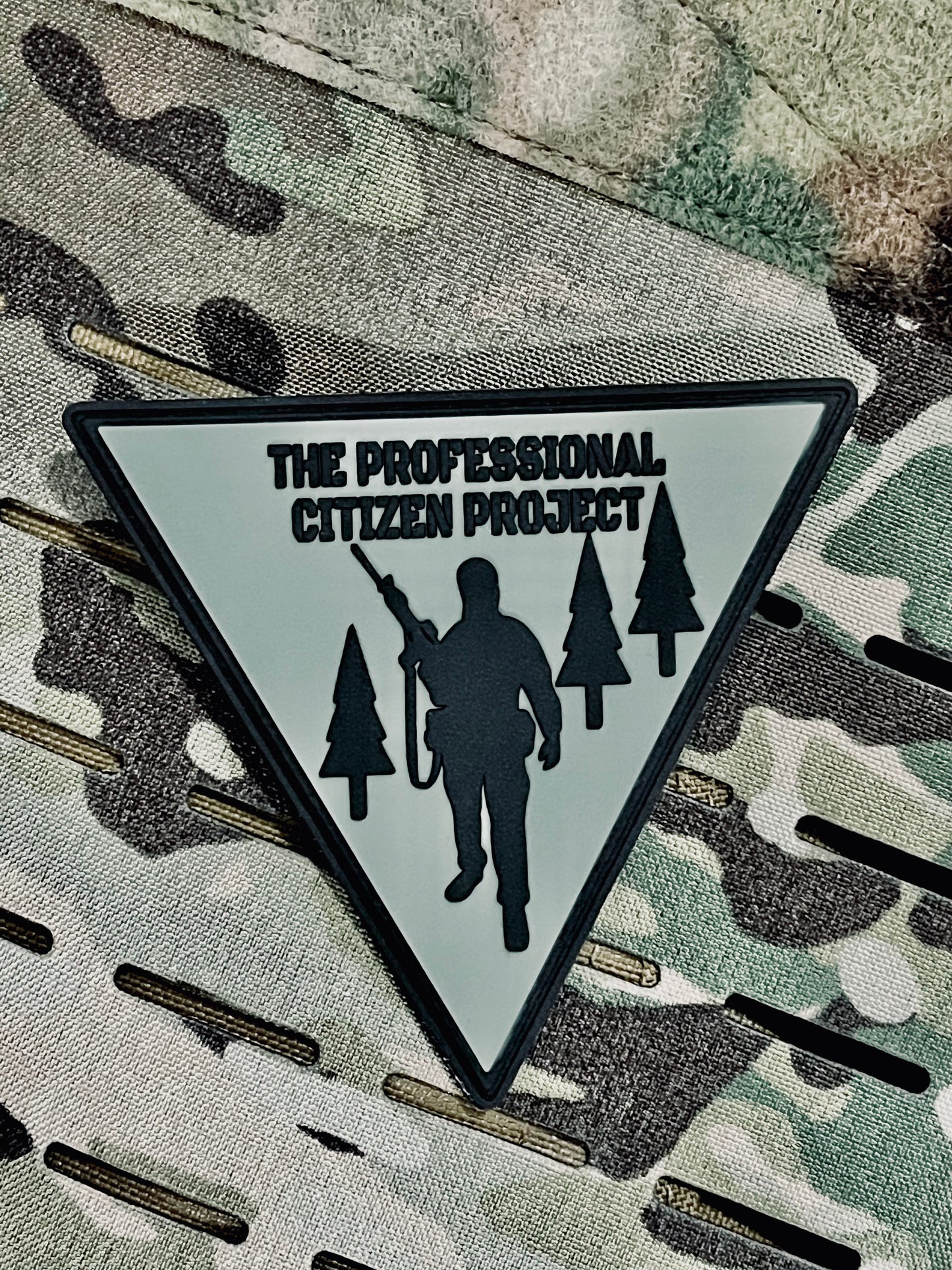 Professional Citizen Project Patch